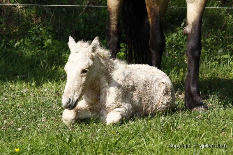 Hjoerdis 1 Stunde und 13 Min alt.JPG
